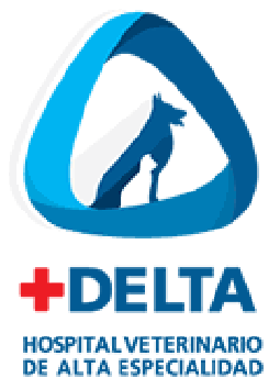 Delta logo